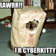 Illustration for article titled Evolution Explains Why Lolcats Control Your Mind
